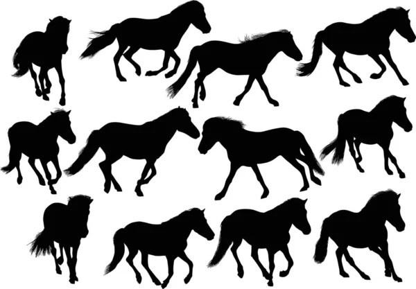 Dua belas kuda hitam di atas putih - Stok Vektor