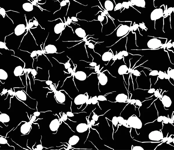 Ant white silhouettes seamless background — Stock Vector