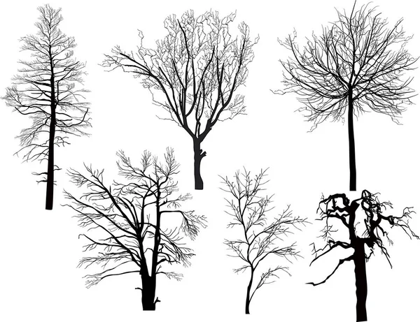 Seis siluetas de árboles desnudos y aislados — Vector de stock