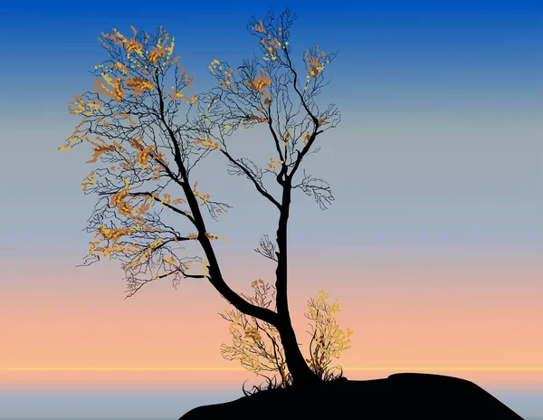 Orange fall trees at sunrise sky — Stock Vector
