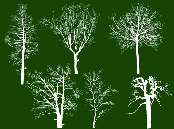 Six silhouettes blanches d'arbres isolés — Image vectorielle