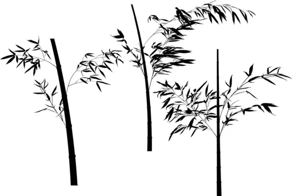 Zbiór bambusa trzy czarne gałęzie ilustracja — Wektor stockowy