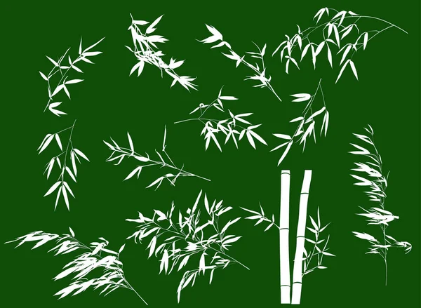 White bamboo branches large collection — Stock Vector