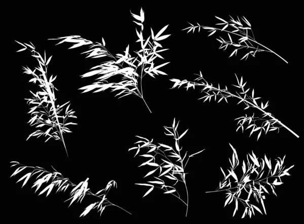 7 conjuntos de ramas blancas bambú ilustración — Archivo Imágenes Vectoriales
