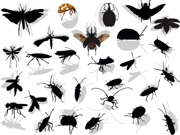 Twenty eight insects with shadows on white — Stock Vector