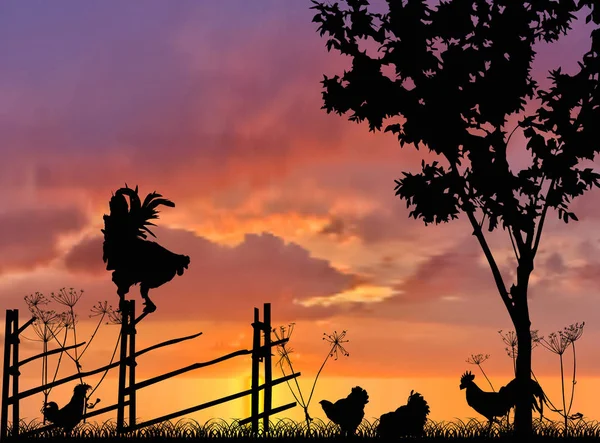 Pluimvee bij het vrouwtje op de achtergrond bij zonsondergang — Stockvector