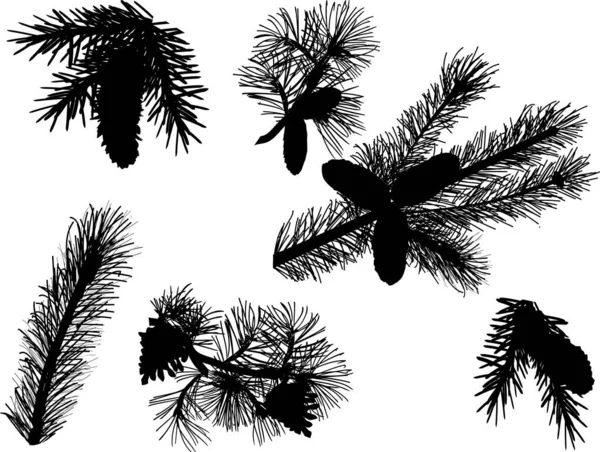 Silhuetas de ramos de pinheiro preto isoladas em branco — Vetor de Stock