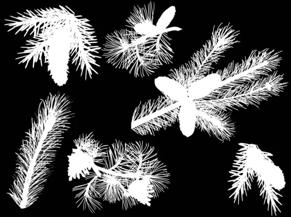 黒に隔離された白い松の枝のシルエット — ストックベクタ