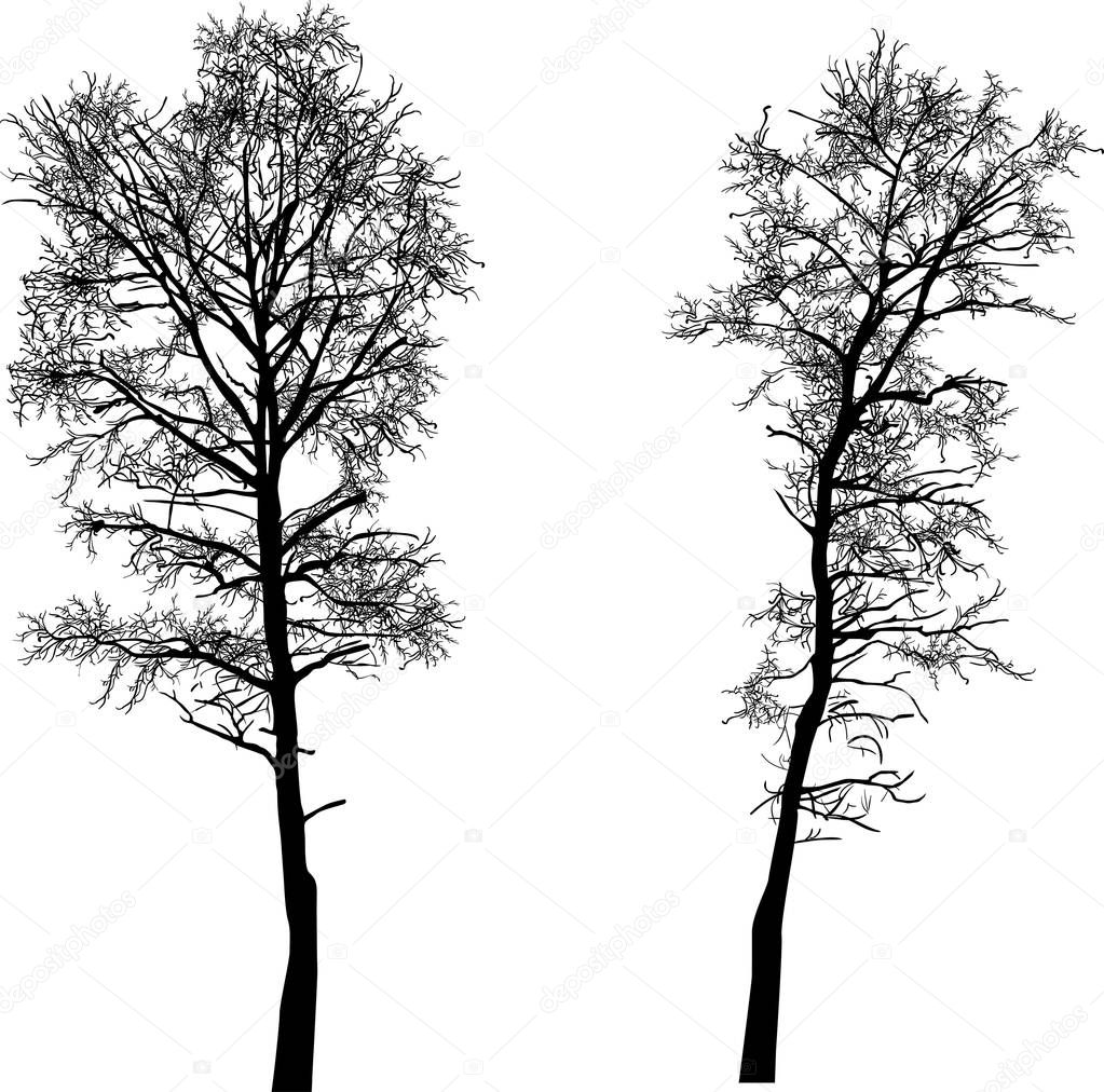  small two bare isolated tree black silhouettes