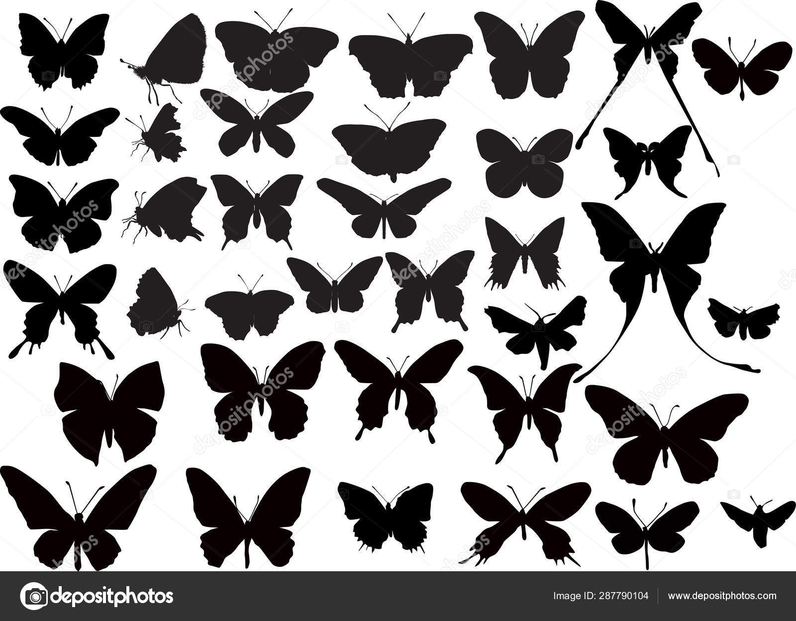 三十七只黑色蝴蝶的轮廓图库矢量图©Dr.PAS 287790104