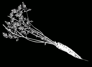 Siyah üzerine izole havuç beyazı çizimi