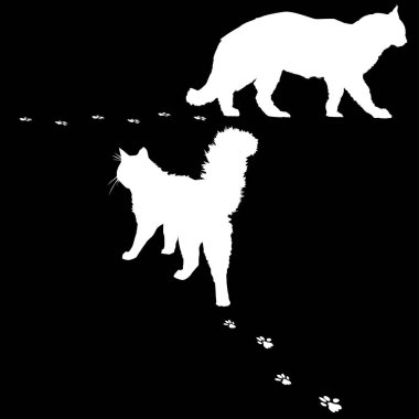 Siyah renkli iki kedi silueti.