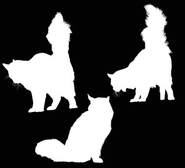 Üç ayrı beyaz kedi silueti koleksiyonu