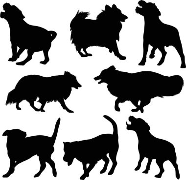 Sekiz siyah izole köpek silueti