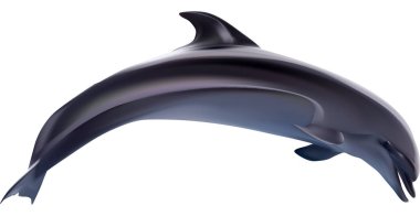 Beyaz üzerinde zıplayan gri yunus çizimi