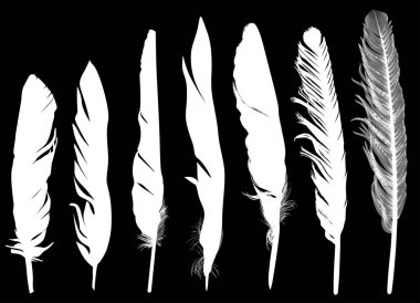 Siyah arkaplanda yedi beyaz tüy