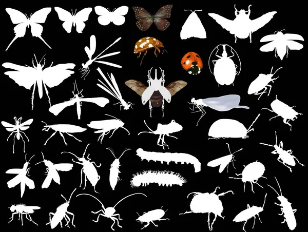 Thirty nine isolated on black insects — Stock Vector