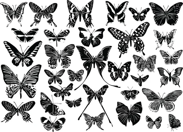 Тридцать четыре черных наброска бабочек — стоковый вектор