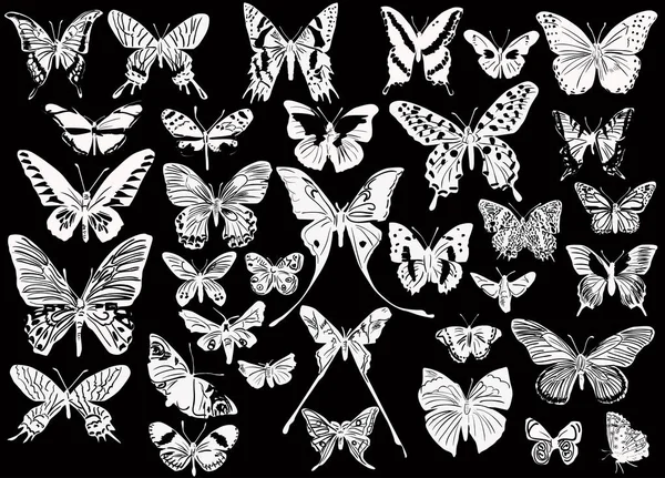 Treinta y cuatro mariposas blancas bocetos — Vector de stock