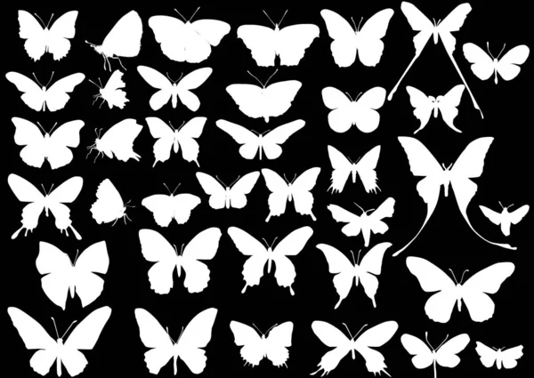Trinta e sete borboletas brancas silhuetas — Vetor de Stock