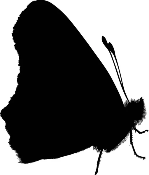 Ein Schmetterling Silhouette auf weiß — Stockvektor