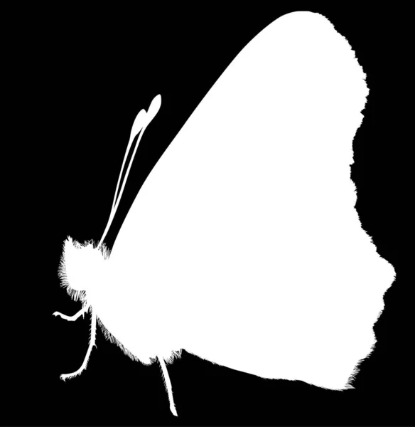 Una silueta mariposa sobre negro — Vector de stock