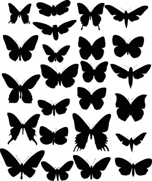 Conjunto de veinticuatro alas negras de mariposa — Vector de stock