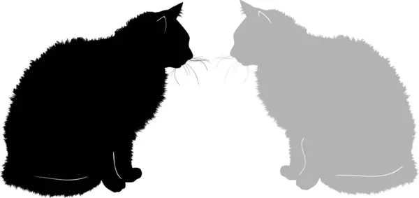 Isolerade svarta och grå lurviga katter — Stock vektor