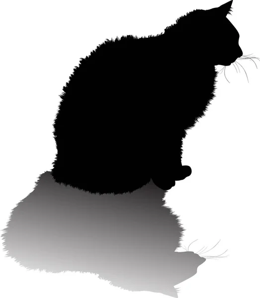 Furry black cat with shadow — Stock Vector