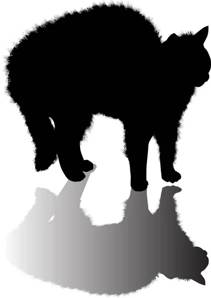 Zwarte kat met schaduw geïsoleerd op wit — Stockvector
