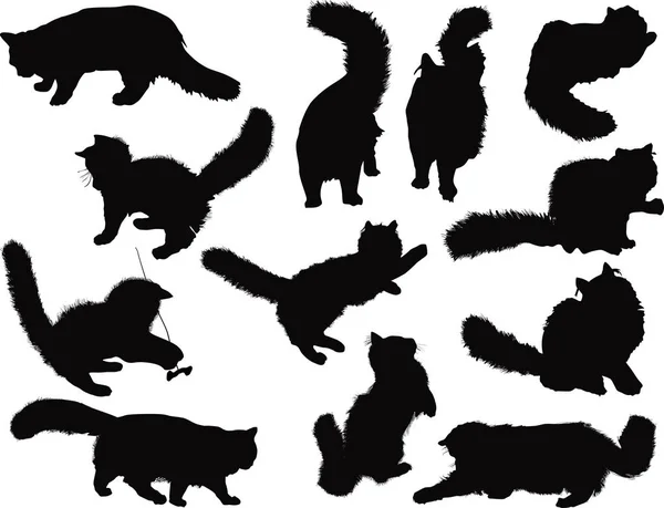 Doce pequeños gatitos negros sobre blanco — Vector de stock