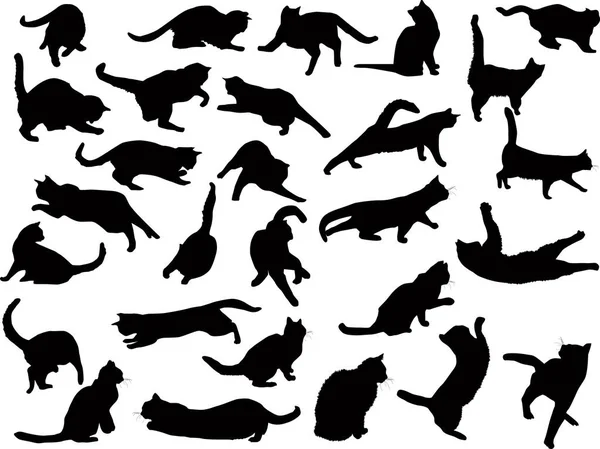 Veintiocho pequeños gatos negros sobre blanco — Vector de stock