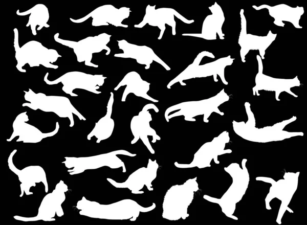 Twenty eight small white cats on black — Stock Vector