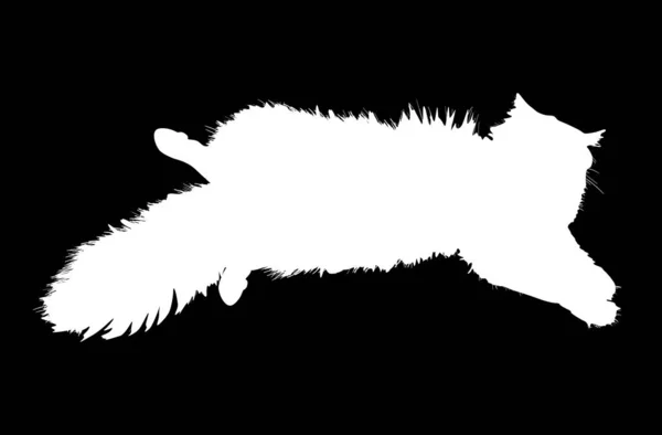黑色背景的毛茸茸的白猫 — 图库矢量图片