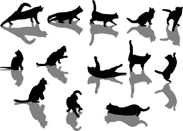 Trece gatos negros con sombras — Vector de stock