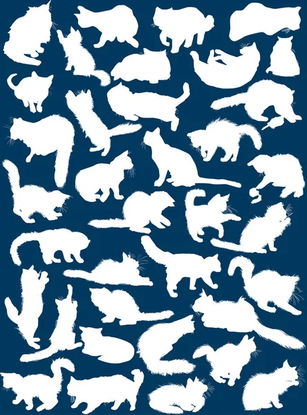 푸른 고양이 36 마리만이 살아가고 있다 — 스톡 벡터