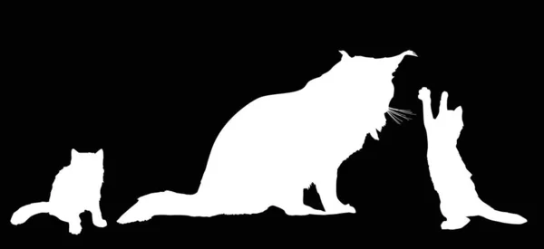 Kot i dwa kocięta izolowane białe sylwetki — Wektor stockowy