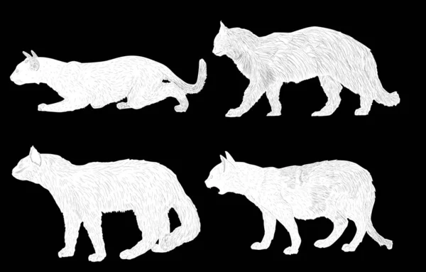 Fyra vita isolerade katter samling — Stock vektor