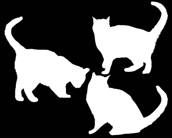 Набор из трех силуэтов белой изолированной кошки — стоковый вектор