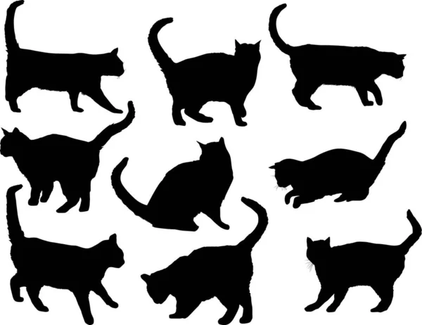 Nio isolerade svarta silhuetter av katter — Stock vektor