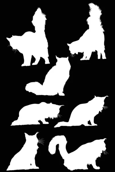 고립 된 일곱 개의 흰 고양이 실루엣 수집 품 — 스톡 벡터
