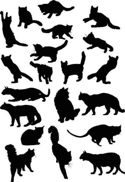 20 마리의 검은 고양이 수집 — 스톡 벡터