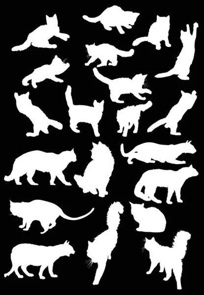 Colección de veinte gatos blancos — Vector de stock