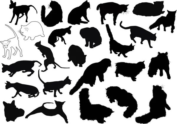 Twenty five black cats collection — Stock Vector