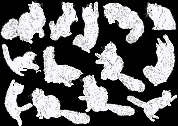 Trece bocetos de gato blanco sobre negro — Archivo Imágenes Vectoriales