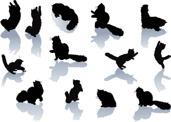 Treize petits chatons noirs aux ombres — Image vectorielle