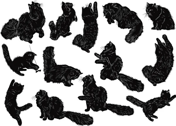 Dreizehn schwarze Katzen Skizzen auf weiß — Stockvektor