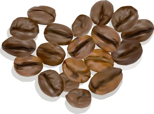 白い背景に隔離された茶色のコーヒー豆 — ストックベクタ