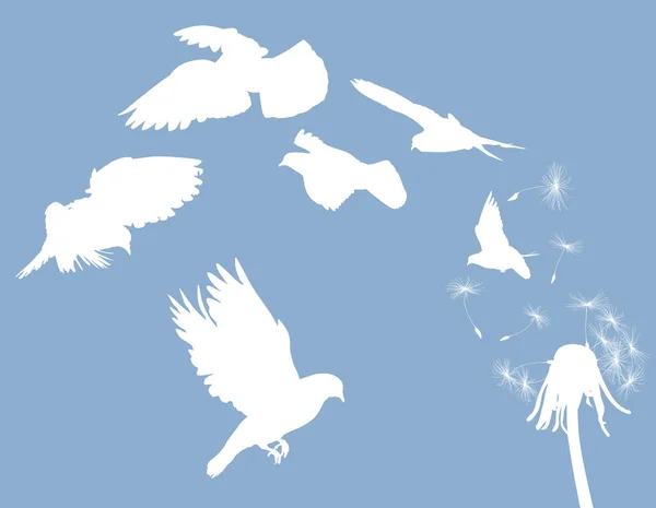 Sześć gołębi latających z białego mniszka lekarskiego — Wektor stockowy