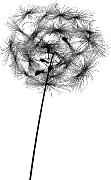 Round single dandelion black silhouette — Stock Vector
